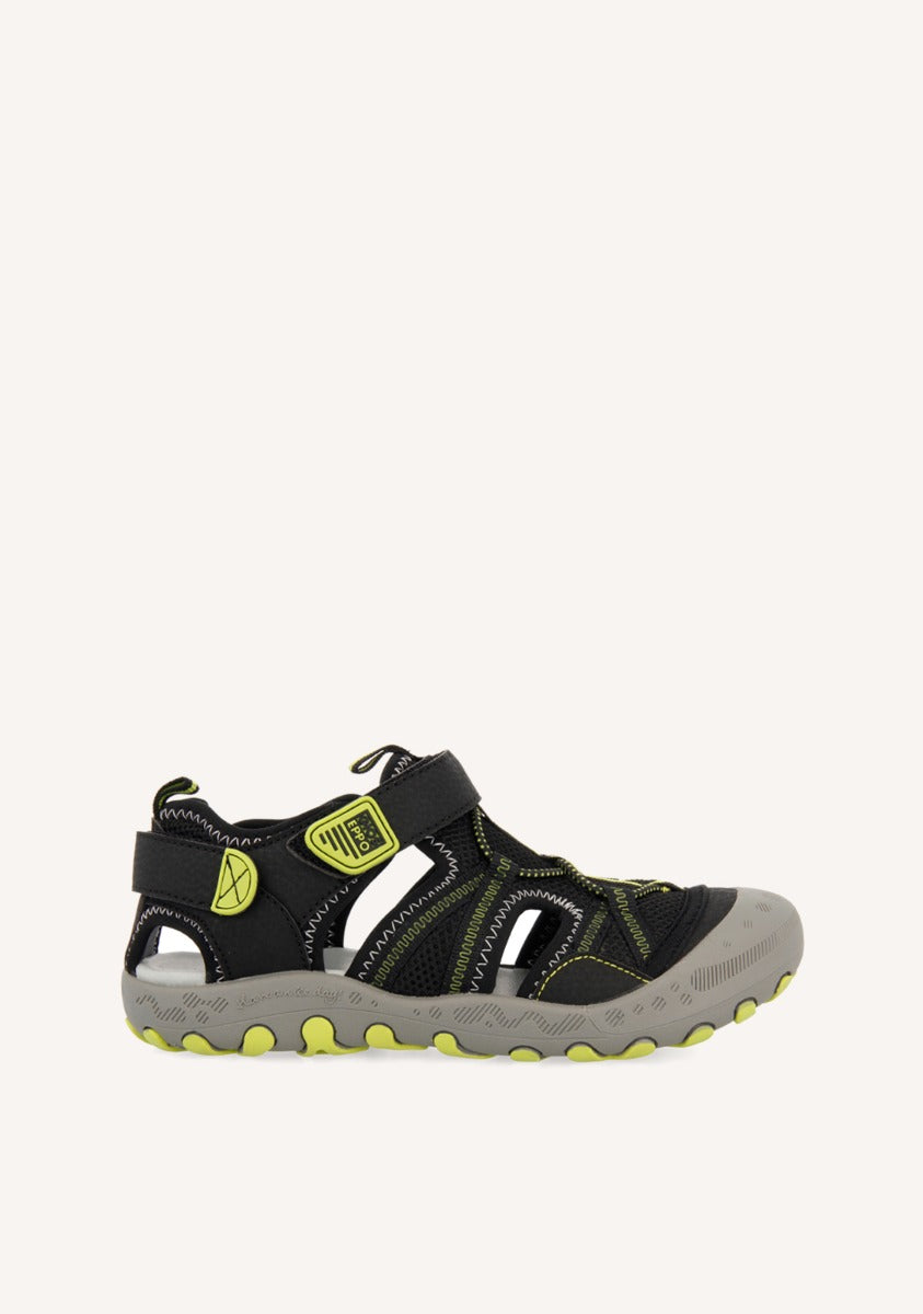CRAB SANDALS MAZATLAN